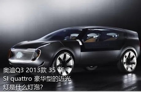 奥迪Q3 2013款 35 TFSI quattro 豪华型的近光灯是什么灯泡？