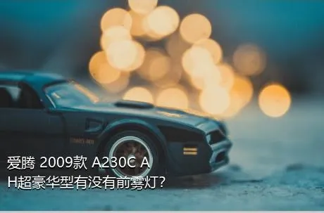 爱腾 2009款 A230C AH超豪华型有没有前雾灯？