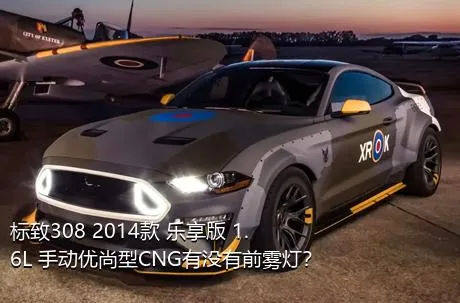 标致308 2014款 乐享版 1.6L 手动优尚型CNG有没有前雾灯？