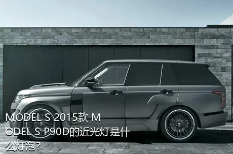 MODEL S 2015款 MODEL S P90D的近光灯是什么灯泡？