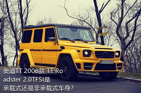 奥迪TT 2008款 TT Roadster 2.0TFSI是承载式还是非承载式车身？
