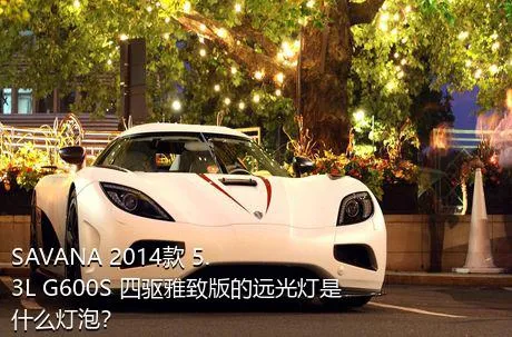 SAVANA 2014款 5.3L G600S 四驱雅致版的远光灯是什么灯泡？