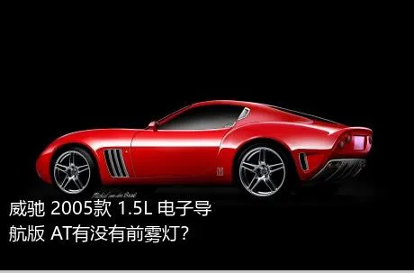 威驰 2005款 1.5L 电子导航版 AT有没有前雾灯？