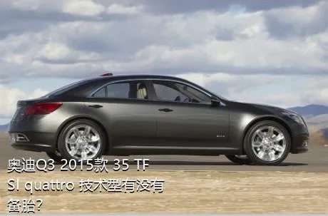 奥迪Q3 2015款 35 TFSI quattro 技术型有没有备胎？