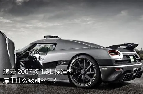 旗云 2007款 1.3L 标准型属于什么级别的车？
