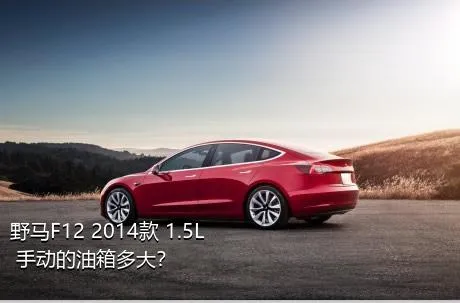 野马F12 2014款 1.5L 手动的油箱多大？