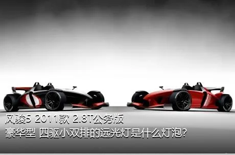 风骏5 2011款 2.8T公务版 豪华型 四驱小双排的远光灯是什么灯泡？