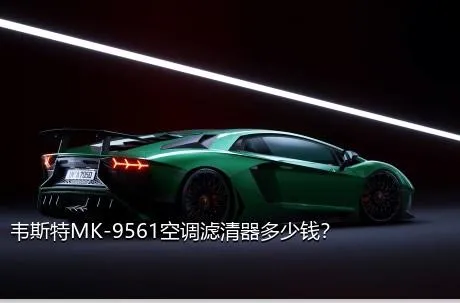 韦斯特MK-9561空调滤清器多少钱？
