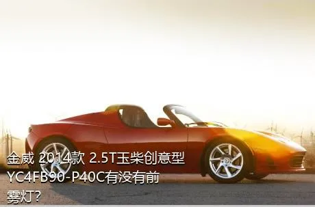 金威 2014款 2.5T玉柴创意型YC4FB90-P40C有没有前雾灯？