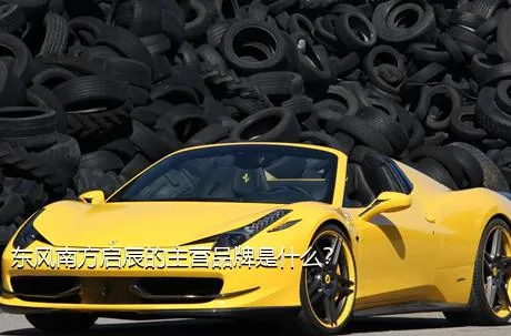 东风南方启辰的主营品牌是什么？