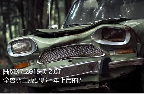 陆风X7 2015款 2.0T 全景尊享版是哪一年上市的？