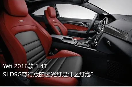 Yeti 2016款 1.4TSI DSG尊行版的远光灯是什么灯泡？