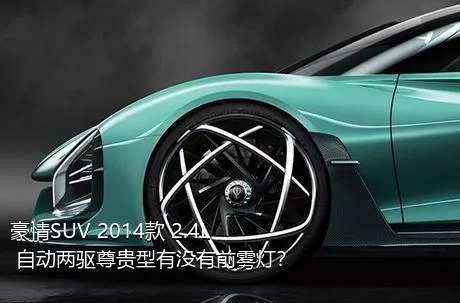 豪情SUV 2014款 2.4L 自动两驱尊贵型有没有前雾灯？