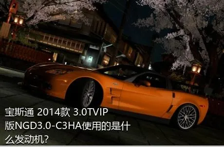 宝斯通 2014款 3.0TVIP版NGD3.0-C3HA使用的是什么发动机？
