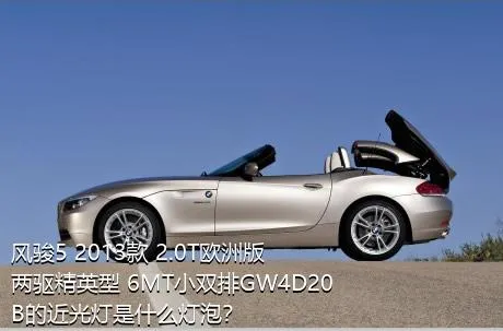 风骏5 2013款 2.0T欧洲版 两驱精英型 6MT小双排GW4D20B的近光灯是什么灯泡？