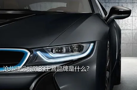 沧州捷远标致的主营品牌是什么？