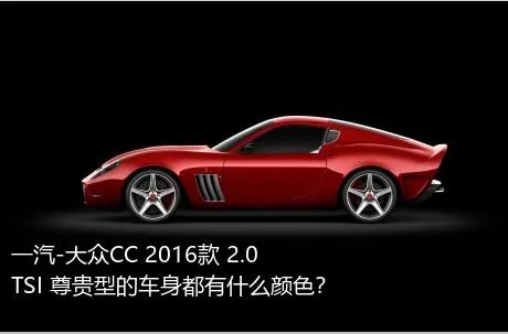 一汽-大众CC 2016款 2.0TSI 尊贵型的车身都有什么颜色？