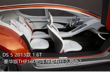 DS 5 2013款 1.6T 豪华版THP160的车身都有什么颜色？