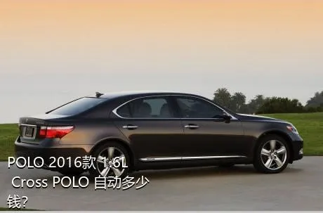 POLO 2016款 1.6L Cross POLO 自动多少钱？