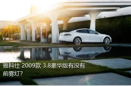 雅科仕 2009款 3.8豪华版有没有前雾灯？