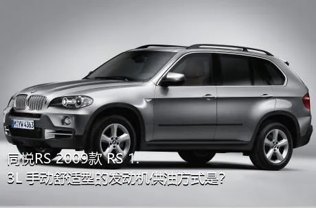 同悦RS 2009款 RS 1.3L 手动舒适型的发动机供油方式是？