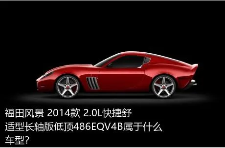 福田风景 2014款 2.0L快捷舒适型长轴版低顶486EQV4B属于什么车型？