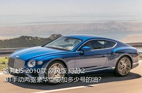 哈弗H5 2010款 欧风版 绿静2.0T手动两驱豪华型要加多少号的油？