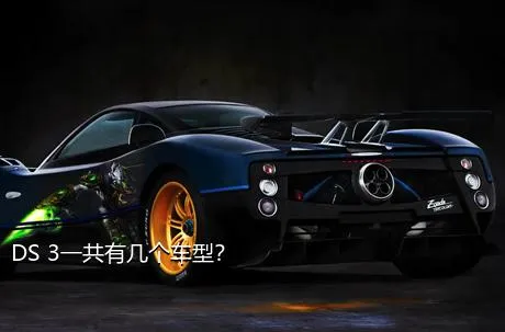 DS 3一共有几个车型？