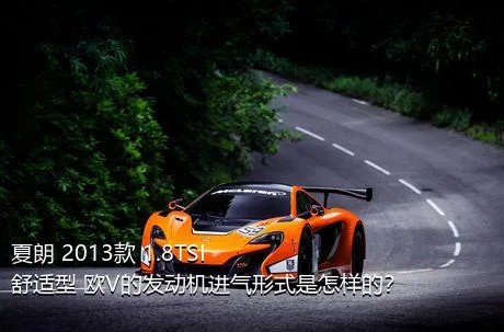 夏朗 2013款 1.8TSI 舒适型 欧V的发动机进气形式是怎样的？