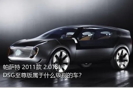 帕萨特 2011款 2.0TSI DSG至尊版属于什么级别的车？