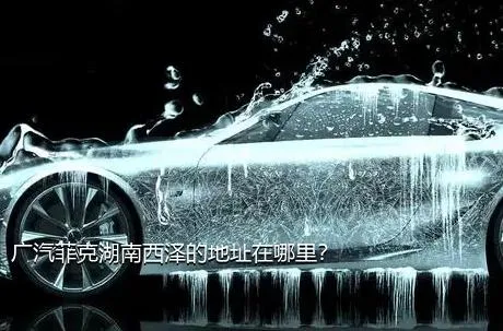 广汽菲克湖南西泽的地址在哪里？