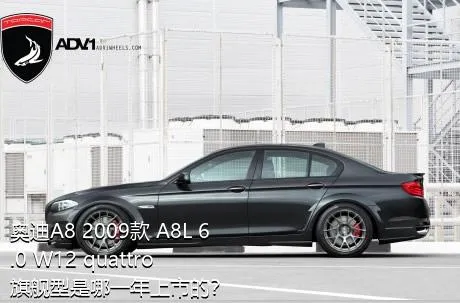 奥迪A8 2009款 A8L 6.0 W12 quattro 旗舰型是哪一年上市的？