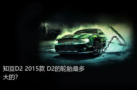 知豆D2 2015款 D2的轮胎是多大的？