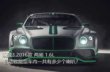 观致3 2016款 两厢 1.6L 自动致能型车内一共有多少个喇叭？