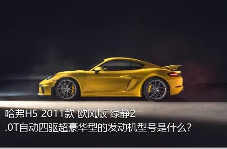 哈弗H5 2011款 欧风版 绿静2.0T自动四驱超豪华型的发动机型号是什么？