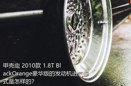 甲壳虫 2010款 1.8T BlackOrange豪华版的发动机进气形式是怎样的？