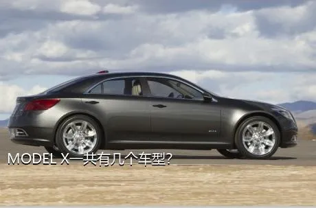 MODEL X一共有几个车型？