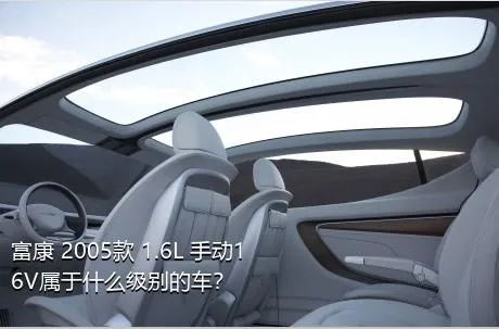 富康 2005款 1.6L 手动16V属于什么级别的车？