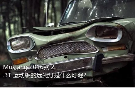 Mustang 2016款 2.3T 运动版的远光灯是什么灯泡？