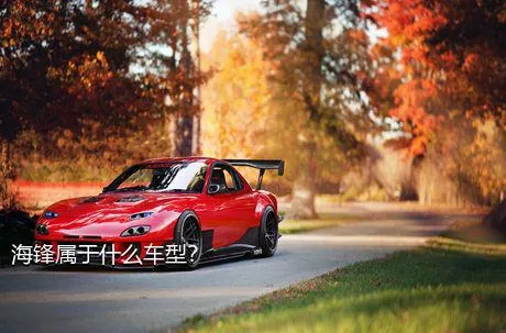 海锋属于什么车型？
