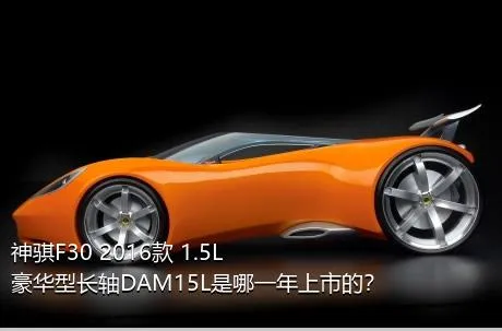 神骐F30 2016款 1.5L豪华型长轴DAM15L是哪一年上市的？