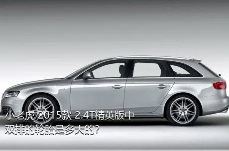 小老虎 2015款 2.4T精英版中双排的轮胎是多大的？