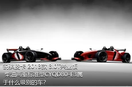 锐骐皮卡 2013款 3.0T兴业版 柴油两驱标准型CYQD80-E3属于什么级别的车？