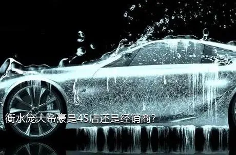 衡水庞大帝豪是4S店还是经销商？