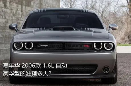嘉年华 2006款 1.6L 自动豪华型的油箱多大？