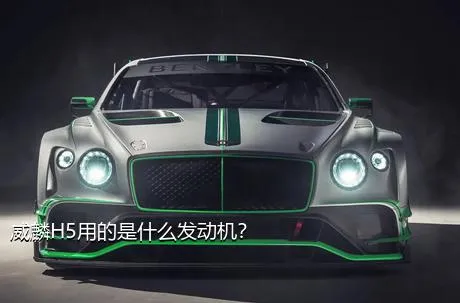 威麟H5用的是什么发动机？