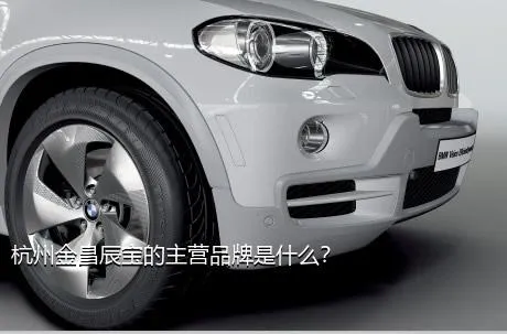 杭州金昌辰宝的主营品牌是什么？