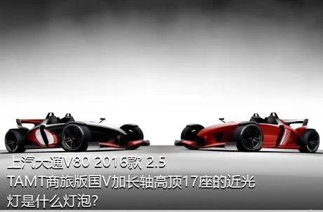 上汽大通V80 2016款 2.5TAMT商旅版国V加长轴高顶17座的近光灯是什么灯泡？