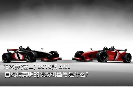 帕杰罗(进口) 2010款 3.0L 自动精英版的发动机型号是什么？