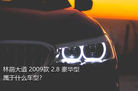 林荫大道 2009款 2.8 豪华型属于什么车型？